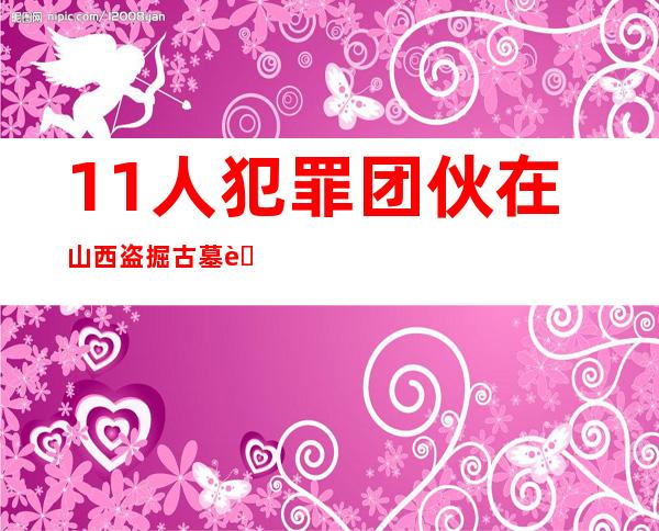 11人犯罪团伙在山西盗掘古墓获利800余万元均获刑