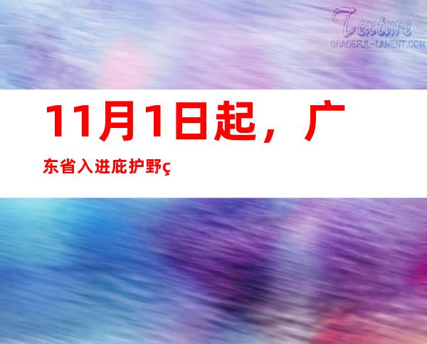 11月1日起，广东省入进庇护野生动物鼓吹月