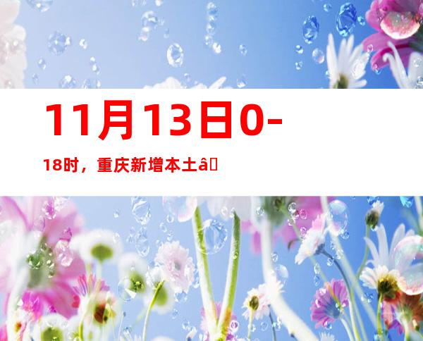 11月13日0-18时，重庆新增本土“103+961”