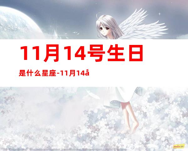 11月14号生日是什么星座-11月14号是什么星座啊