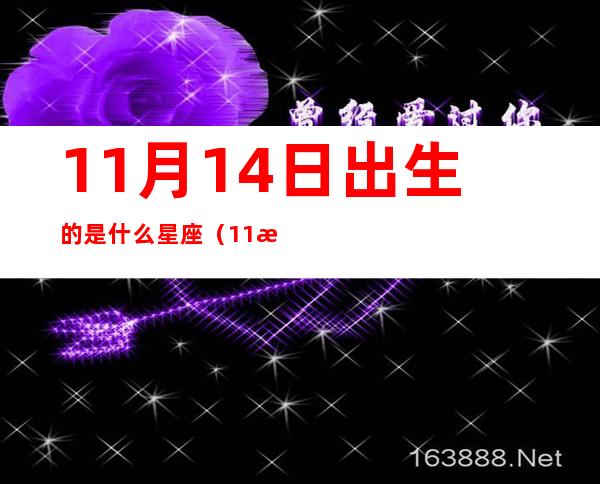 11月14日出生的是什么星座（11月14日是什么星座）