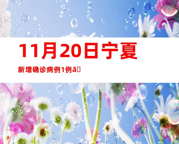 11月20日宁夏新增确诊病例1例、无症状熏染者58例