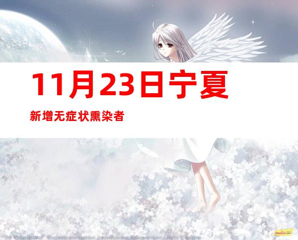 11月23日宁夏新增无症状熏染者172例