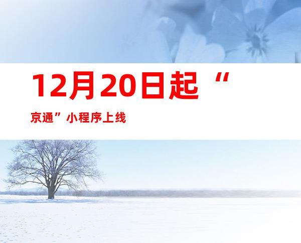 12月20日起“京通”小程序上线试运行 北京网上办事实现更高效“一站通”