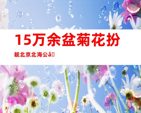 1.5万余盆菊花扮靓北京北海公园 