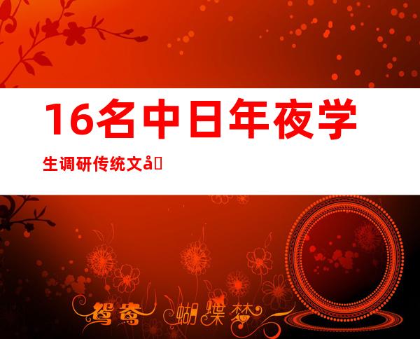 16名中日年夜学生调研传统文化互译鼓吹手册