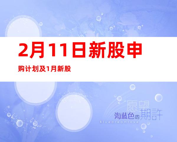 2月11日新股申购计划及1月新股申购总结