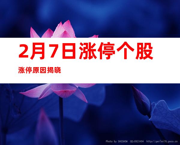 2月7日涨停个股涨停原因揭晓