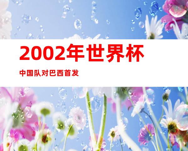 2002年世界杯中国队对巴西首发阵容（02世界杯中国对阵巴西首发阵容）