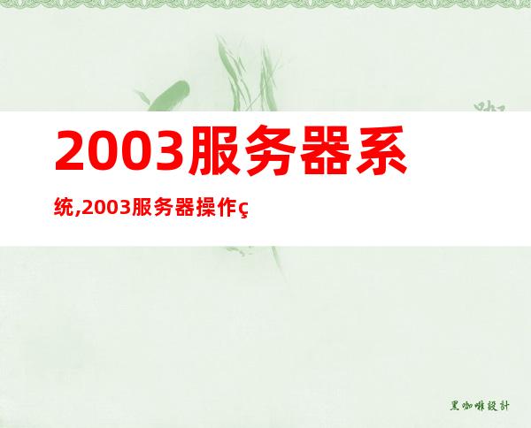 2003服务器系统,2003服务器操作系统更替，需更新系统配置