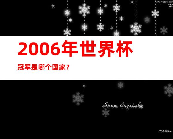 2006年世界杯冠军是哪个国家？