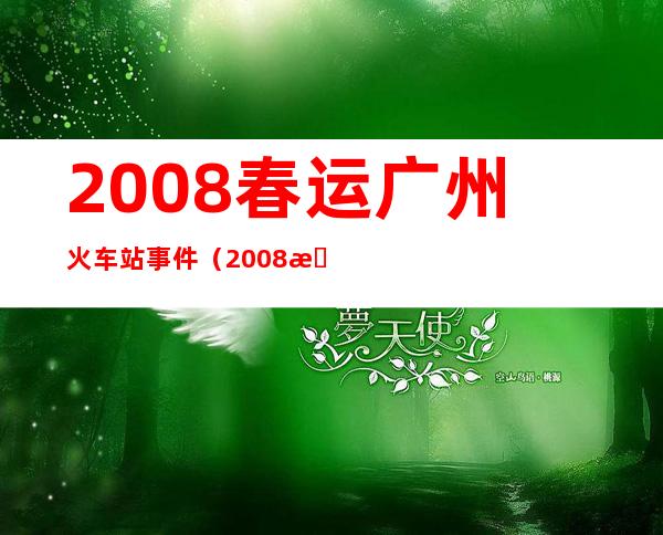 2008春运广州火车站事件（2008春运雪灾广州火车站）