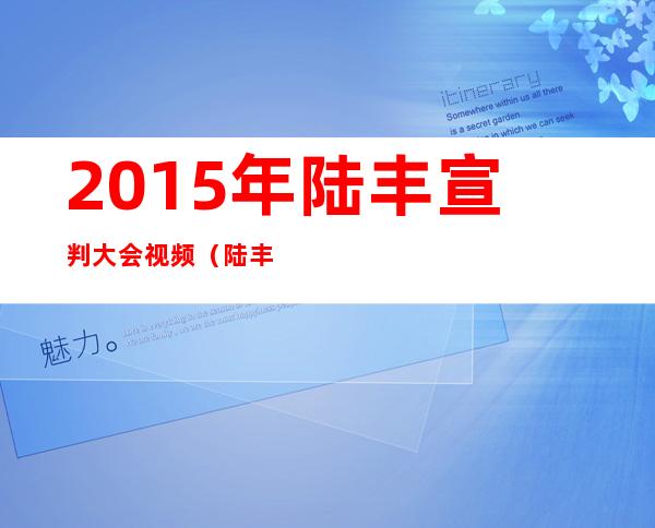 2015年陆丰宣判大会视频（陆丰宣判大会11.24视频）