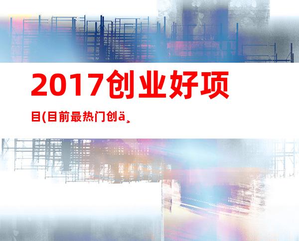 2017创业好项目 (目前最热门创业项目)_2017年创业好项目13万