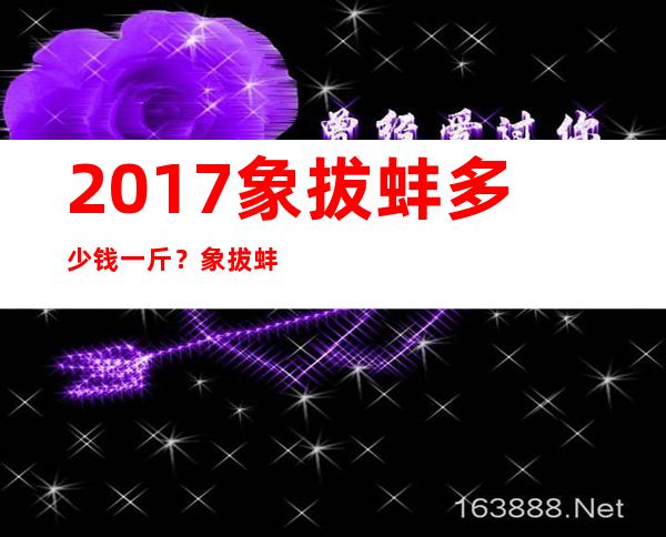 2017象拔蚌多少钱一斤？象拔蚌多少钱一斤2017？