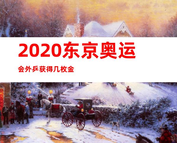 2020东京奥运会外乒获得几枚金牌；