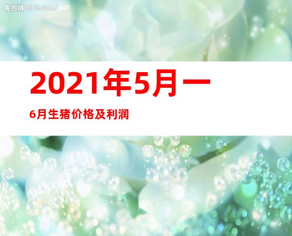 2021年5月一6月生猪价格及利润