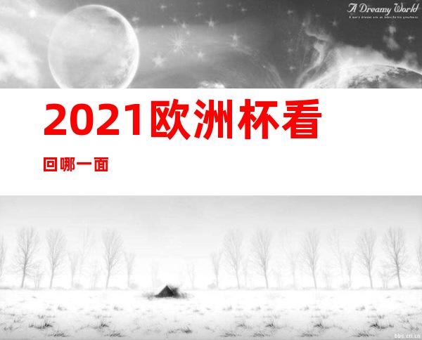 2021欧洲杯看回哪一面