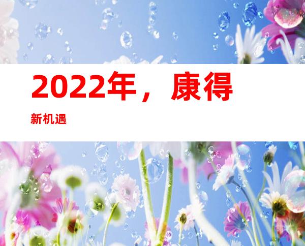 2022年，康得新机遇