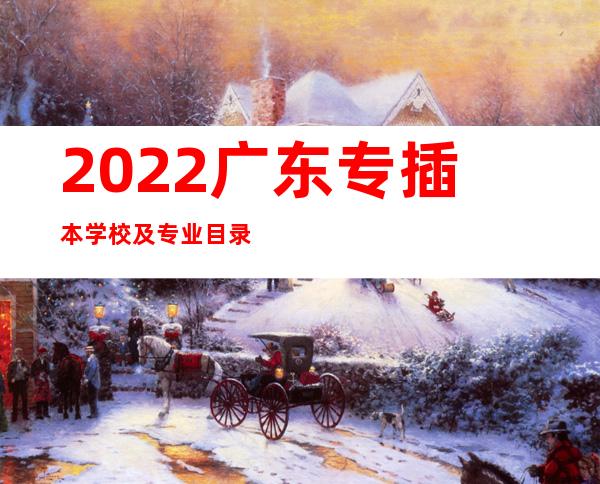 2022广东专插本学校及专业目录（广东专升本跟专插本的区别）