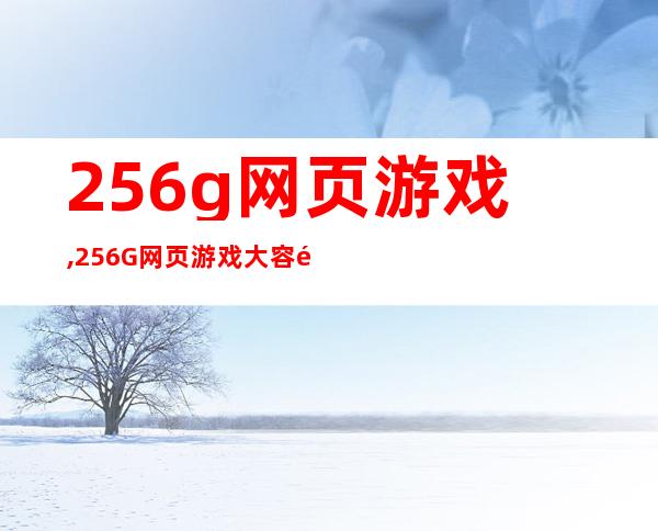 256g网页游戏,256G网页游戏大容量，轻松畅玩！