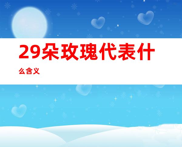 29朵玫瑰代表什么含义