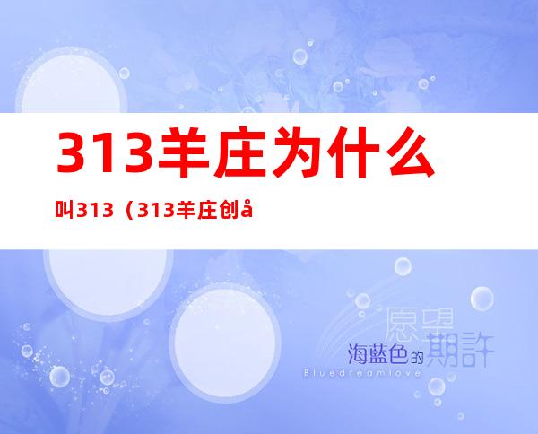 313羊庄为什么叫313（313羊庄创始人老板）