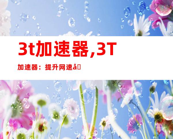 3t加速器,3T加速器：提升网速利器