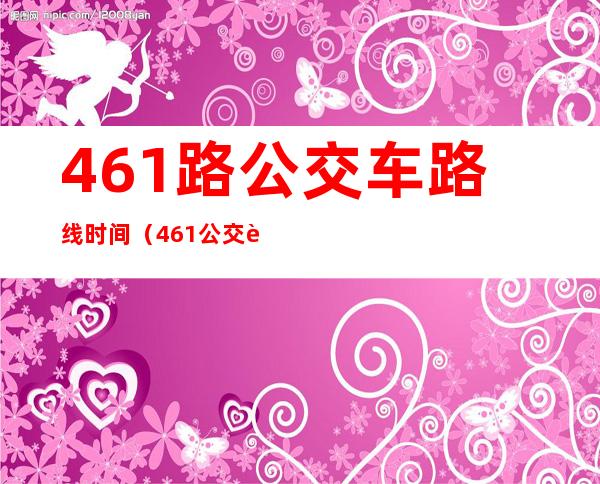 461路公交车路线时间（461公交车路线）