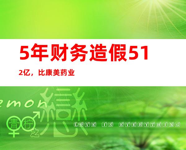 5年财务造假512亿，比康美药业还狠！