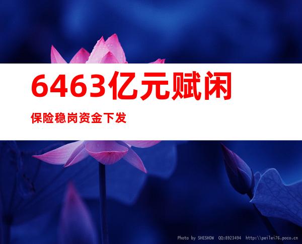 646.3亿元赋闲保险稳岗资金下发 加力稳企业保平易近生