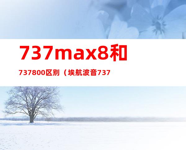 737max8和737 800区别（埃航波音737max8）