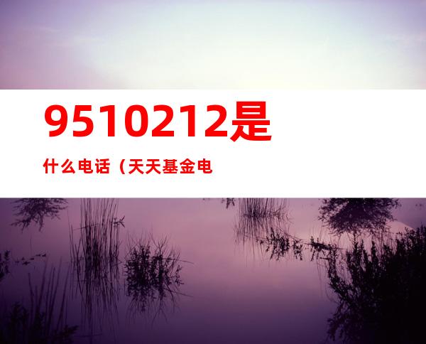 9510212是什么电话（天天基金电话95021）