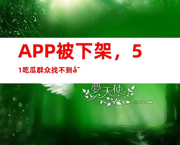 APP被下架，51吃瓜群众找不到导航了