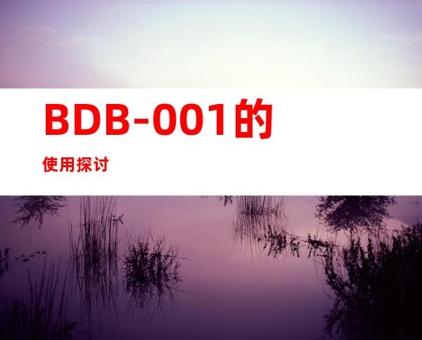 BDB-001的使用探讨