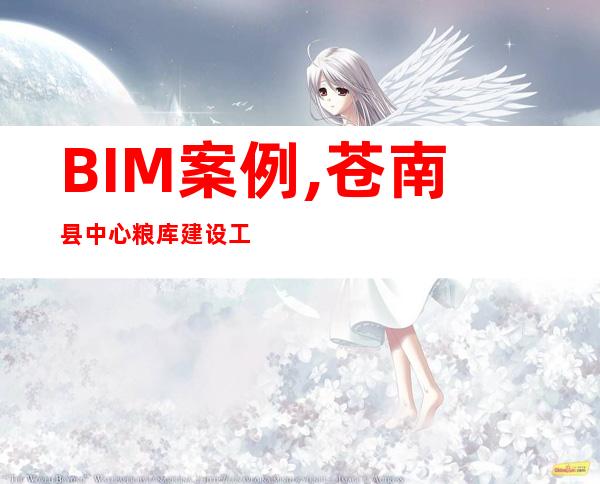 BIM案例,苍南县中心粮库建设工程（BIM案例应用研究怎么体现工作量）