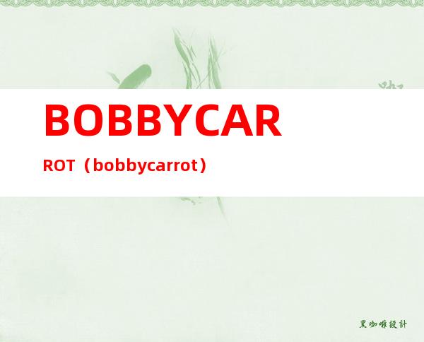 BOBBYCARROT（bobbycarrot）