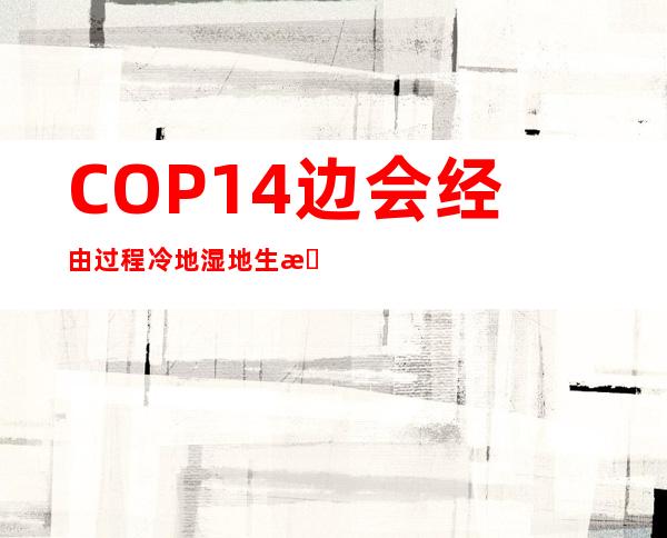 COP14边会经由过程冷地湿地生态体系功能庇护与修复发起书