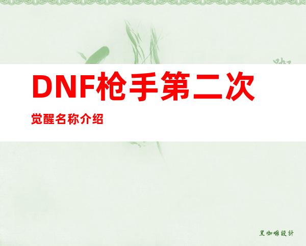 DNF枪手第二次觉醒名称介绍