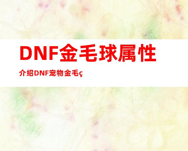 DNF金毛球属性介绍DNF宠物金毛球_DNF