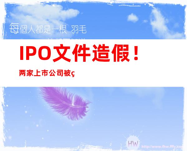 IPO文件造假！两家上市公司被监管重罚，未来或面临强制退市