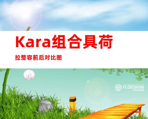 Kara组合具荷拉整容前后对比图分享