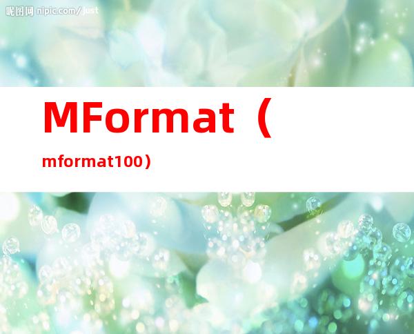 MFormat（mformat 1 00）