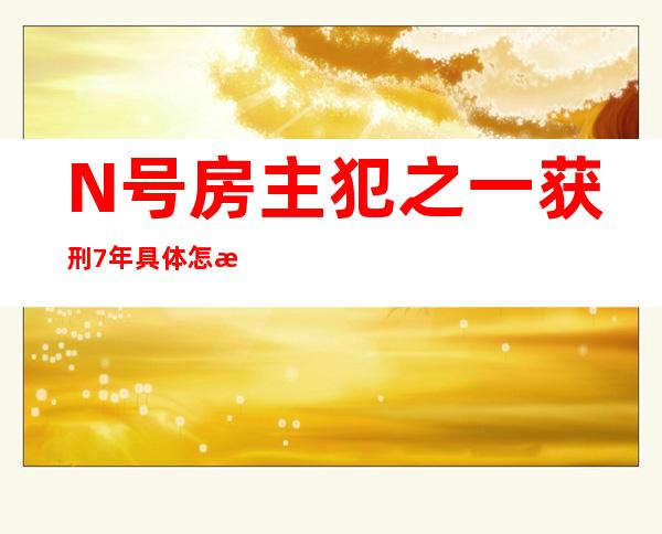 N号房主犯之一获刑7年 具体怎样的