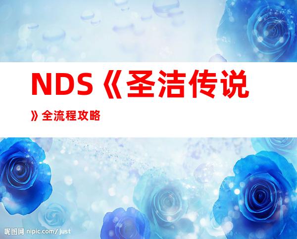 NDS《圣洁传说》全流程攻略::