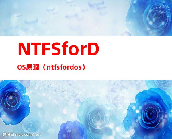 NTFSforDOS原理（ntfs for dos）