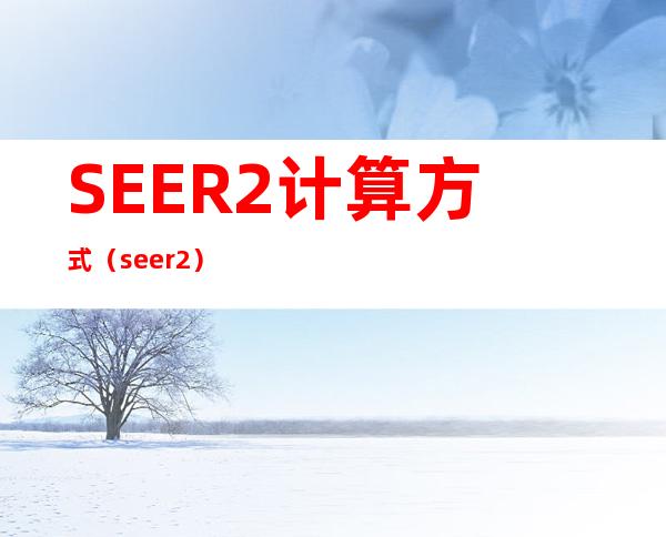 SEER2计算方式（seer2）