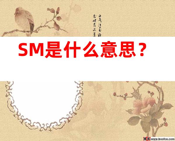 SM是什么意思？