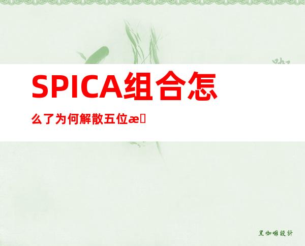 SPICA组合怎么了为何解散 五位成员搬离宿舍何去何从