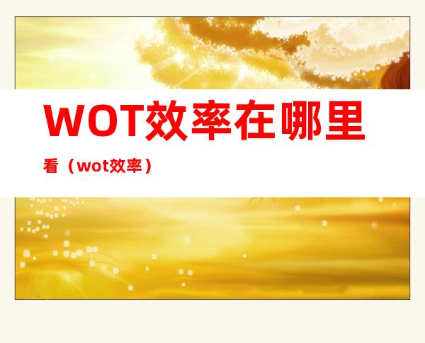 WOT效率在哪里看（wot效率）